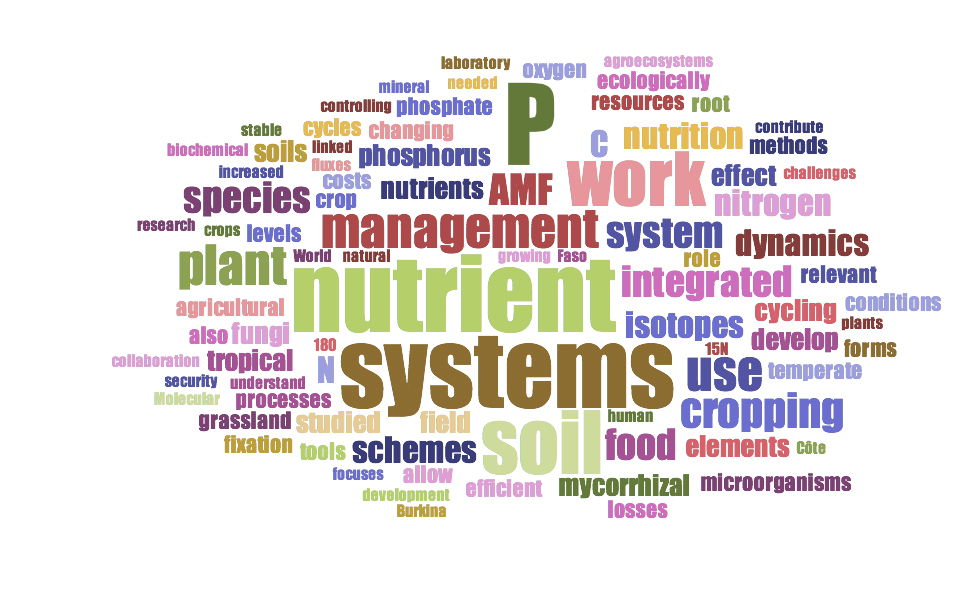 Enlarged view: Plant nutrition cloud