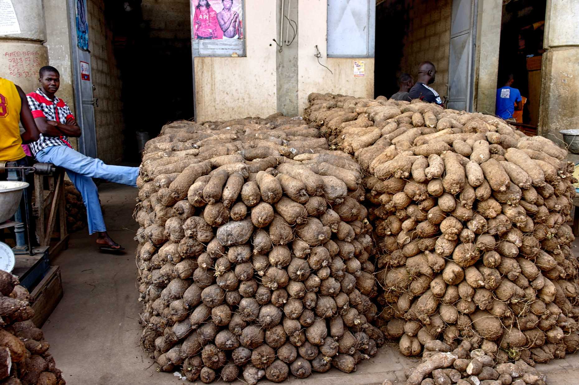 Enlarged view: Yam on the market